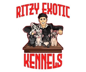 French Bulldog Dog Breeder near STOCKTON, CA, USA