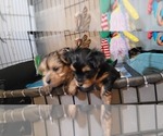 Small #330 Breeder Profile image