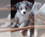 Small #32 Breeder Profile image