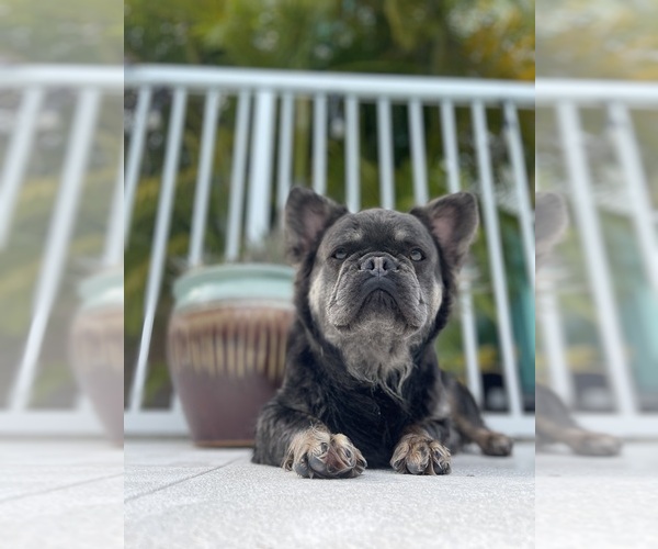 Medium Photo #1  Breeder Profile in FISHERS, IN, USA