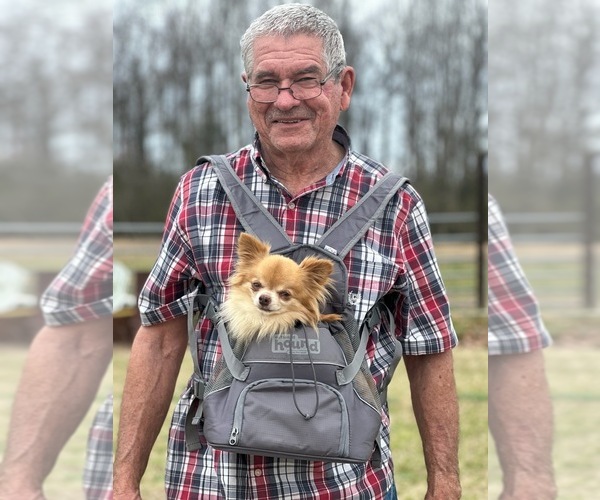 Medium Photo #23  Breeder Profile in HOMERVILLE, GA, USA