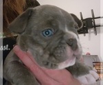 Small #1 Breeder Profile image