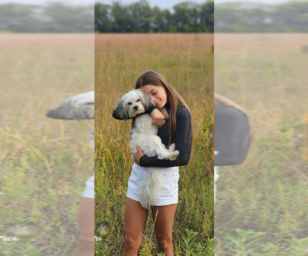 Medium Photo #16  Breeder Profile in FARMINGTON, MN, USA