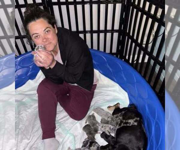 Medium Photo #6  Breeder Profile in GASTONIA, NC, USA