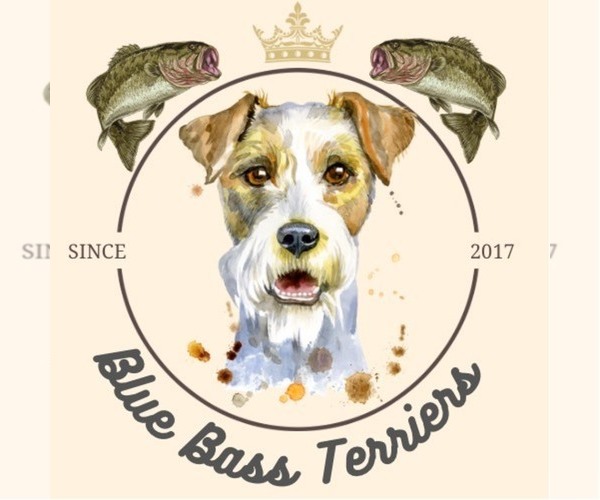Medium Photo #1  Breeder Profile in OCALA, FL, USA