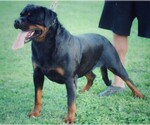 Small Photo #1  Breeder Profile in ABERDEEN, MD, USA