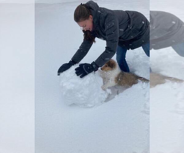 Medium Photo #21  Breeder Profile in PARIS, MI, USA