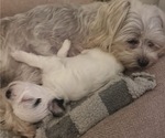 Small #5 Breeder Profile image
