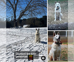 Small #12 Breeder Profile image