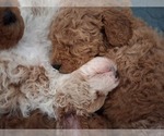 Small #86 Breeder Profile image