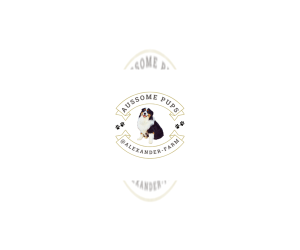Medium Photo #1  Breeder Profile in LAKEVILLE, IN, USA
