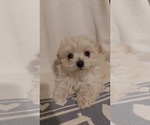 Small #7 Breeder Profile image
