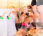 Small #13 Breeder Profile image