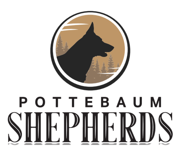 Medium Photo #1  Breeder Profile in SIOUX CENTER, IA, USA