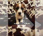 Small #19 Breeder Profile image