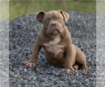 Small #3 Breeder Profile image