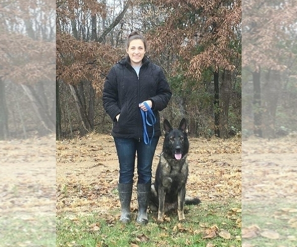 Medium Photo #1  Breeder Profile in BAYLE, IL, USA
