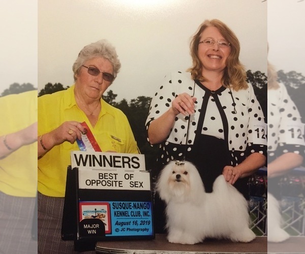 Medium Photo #9  Breeder Profile in WILSON, NY, USA