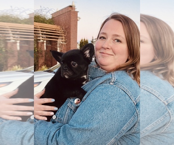 Medium Photo #1  Breeder Profile in SEATTLE, WA, USA