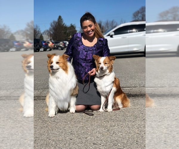 Medium Photo #16  Breeder Profile in BRYANTOWN, MD, USA