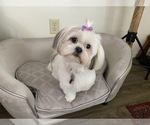 Small breeder photo