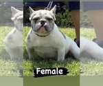 Small #7 Breeder Profile image