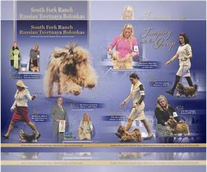 Chow Chow Dog Breeder near PEABODY, KS, USA