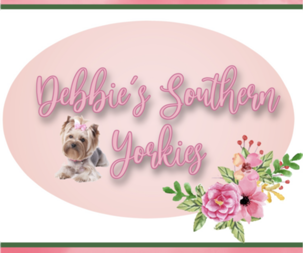 Medium Photo #3  Breeder Profile in ROCKWOOD, TN, USA