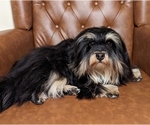 Small #10 Breeder Profile image