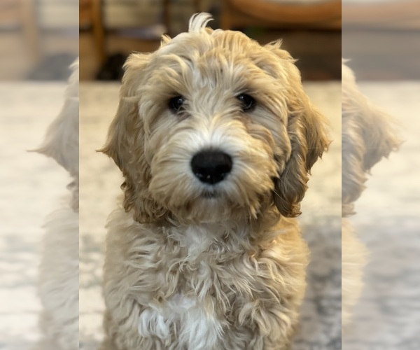 Medium Photo #3  Breeder Profile in NEWMARKET, NH, USA