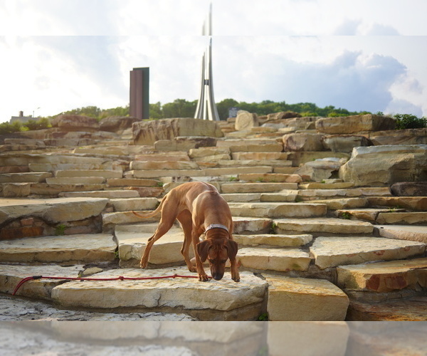 Medium Photo #6  Breeder Profile in ONEIDA, TN, USA