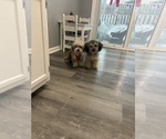 Small #1 Breeder Profile image