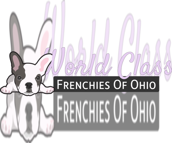 Medium Photo #1  Breeder Profile in MILLERSBURG, OH, USA