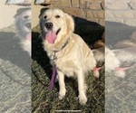 Small #20 Breeder Profile image