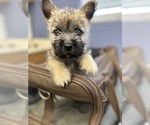 Small #14 Breeder Profile image