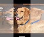Small #11 Breeder Profile image
