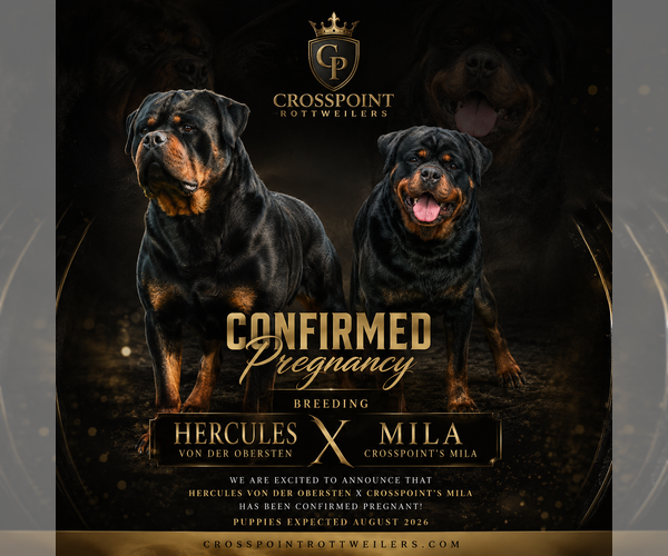 Medium Photo #12  Breeder Profile in ANKENY, IA, USA