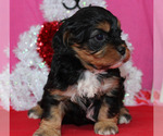 Small #64 Breeder Profile image