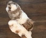 Small #3 Breeder Profile image
