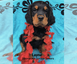 Small #1 Breeder Profile image