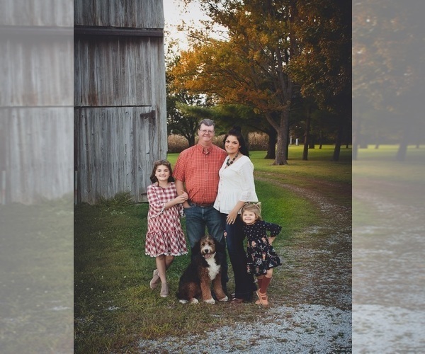 Medium Photo #7  Breeder Profile in TIPTON, IN, USA