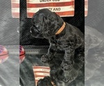 Small #16 Breeder Profile image