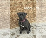 Small #15 Breeder Profile image