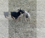 Small #1 Breeder Profile image