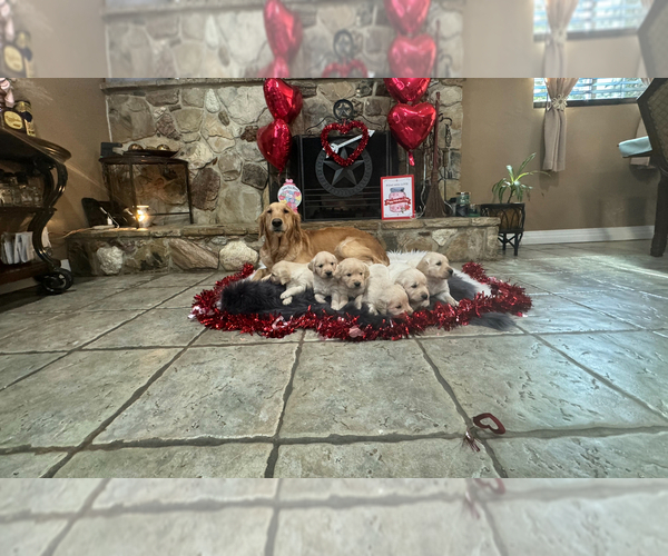 Medium Photo #1  Breeder Profile in MIRA LOMA, CA, USA