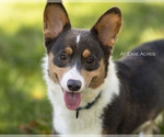Small #5 Breeder Profile image
