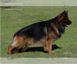 Small #7 Breeder Profile image