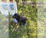 Small #17 Breeder Profile image