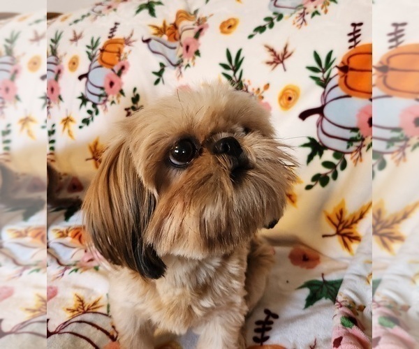 Medium Photo #1  Breeder Profile in KLAMATH FALLS, OR, USA