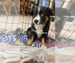 Small #18 Breeder Profile image